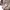 Missoni Luxury Casual Sweater Pria cream photo 3