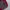 Sweater knit turtleneck by Palls Spira photo 2