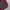 Sweater Knit Turtleneck By Palls Spira