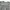 Budweiser Streetwear Sweatshirt Pria Gray
