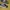 vans old skool (global) no box original 100% photo 2