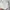 High Waist Mini Tennis Skirt White Pleated Skirt Import photo 8