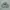 Blank Hoodie 00s Russell Athetic