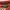 Sweater von dutch photo 3