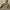 Y2K Minimalist Cardigan Pria khaki cream photo 5