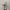 Tumblr STITCH By CGV