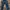 Levi’s 501 Original Fit Jeans W33 L34 - Indigo Blue (Second/ photo 3