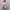 Boneka Piglet photo 6