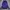 Tracktop adidas firebird purple photo 1