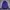 Tracktop Adidas Firebird Purple