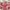 Guess Vintage Y2K Crossbody Bag Wanita pink cream photo 2