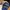 Chelsea FC Vintage 90's Strapback Colectible photo 2