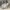 MLB Sportswear Hoody Pria white photo 5