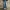 JEANS TRUE RELIGION photo 1