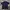 POLO LACOSTE