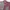 Crocodile Streetwear Casual Formal shirt Pria multicolor photo 2