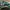puma suede xl green photo 1