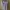 One Five Seven Men's Basic White Cargo Jogger Pants photo 6