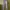 One Five Seven Men's Basic White Cargo Jogger Pants photo 7