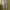 One Five Seven Men's Basic White Cargo Jogger Pants photo 2