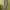 Topten Basic Dark Grey Relax Long Pants photo 5