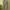 Topten Basic Dark Grey Relax Long Pants photo 2