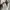 Halfzip polo ralph lauren grey authentic with barcode photo 3