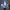 Windbreaker Adidas Big Logo photo 1