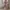 Carmens' heels / wedding / party photo 2