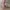 Carmens' heels / wedding / party photo 1