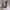 Carmens' heels / wedding / party photo 5