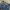Fadding jeans True Religion photo 5