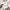 Hoodie sessions white photo 3