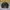 Casual Harrington jacket Pria multicolor photo 5