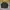 Casual Harrington jacket Pria multicolor photo 1