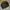 Casual Harrington jacket Pria multicolor photo 2