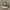 Men's Vans Authentic 44 DX 'OG Leopard photo 1