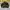Casual Harrington jacket Pria multicolor photo 4