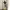 Casual Harrington jacket Pria multicolor photo 7