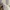 Polo shirt Fred perry white List Blue red photo 6