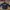 Le coq big logo photo 1
