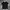 T-shirt Adidas