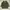 Long sleve Adidas photo 2