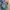 LEV’S 560 photo 6