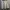 WoolRich Mountain Parka Jacket photo 5