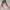 Shein Bodycon Dress photo 1