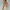 Shein Bodycon Dress photo 2