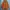 Fieldcore Flame Tech Sherpa x Nylon Pocket Jacket photo 1
