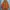 Fieldcore Flame Tech Sherpa X Nylon Pocket Jacket