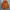 Fieldcore Flame Tech Sherpa x Nylon Pocket Jacket photo 3